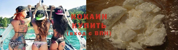 стаф Алзамай