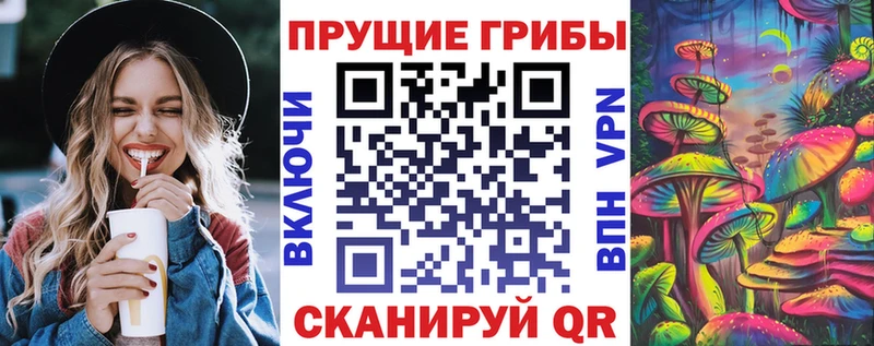 Псилоцибиновые грибы Psilocybine cubensis  гидра онион  Ревда 