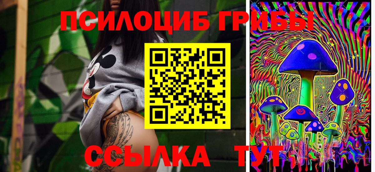Ревда  Псилоцибиновые грибы GOLDEN TEACHER  Вход с VPN 