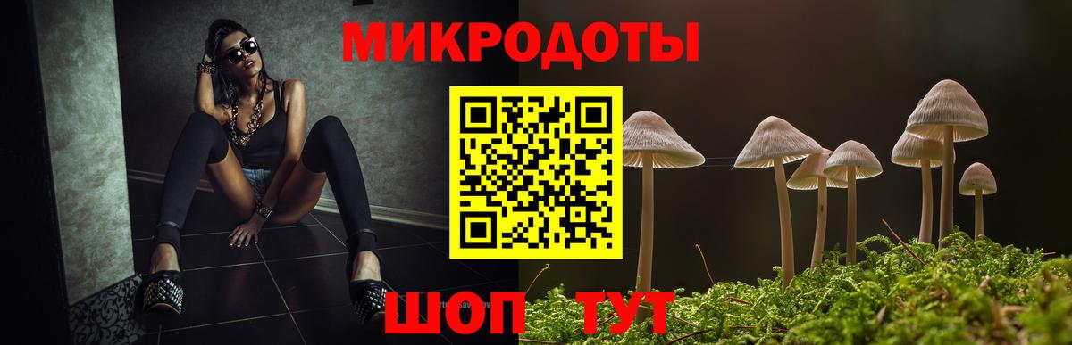 Псилоцибиновые грибы мицелий Ревда