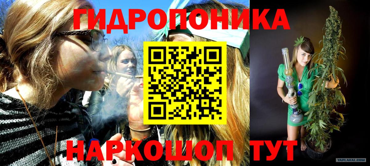 Шишки марихуана сатива Ревда
